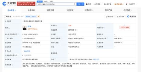 陳坤上海東申童畫工作室注銷，企業形象策劃的反思與啟示