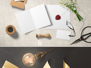 高端企業(yè)形象品牌設(shè)計(jì)VI樣機(jī)合集之三 商務(wù)VI樣機(jī)與企業(yè)形象策劃